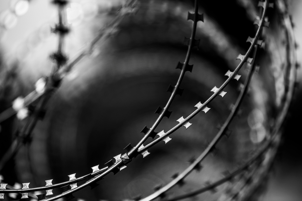 Barb Wires