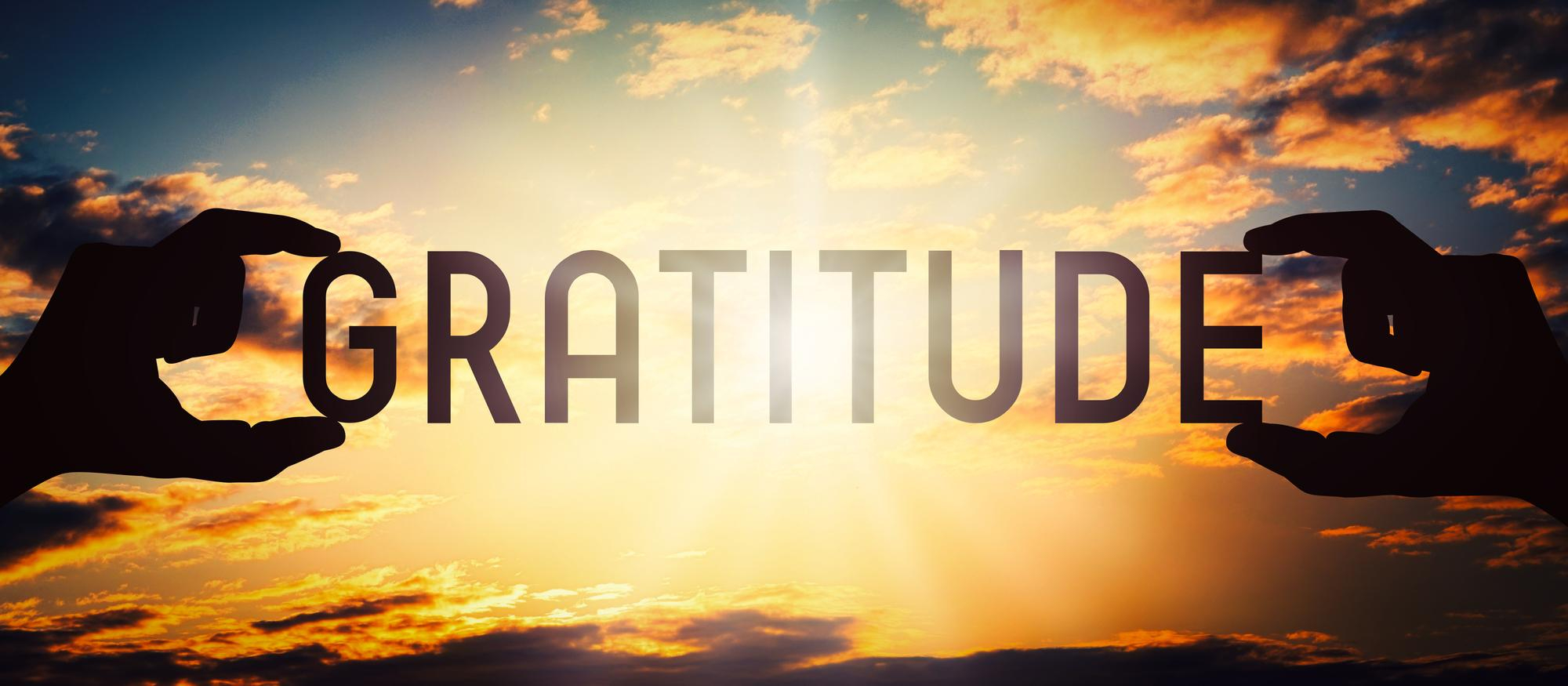 Gratitude in English Language