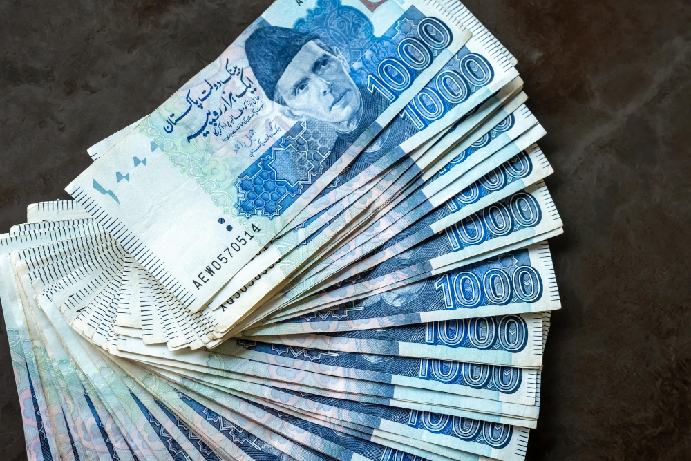 How Muzdoor.com makes money